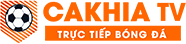 trực tiếp bóng đá hôm nay